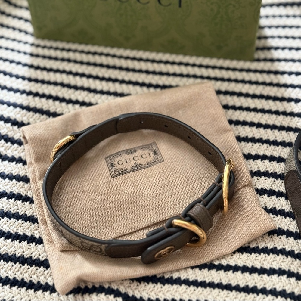 Collar y correa gucci para perro
